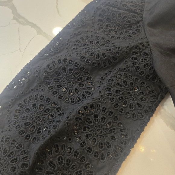 Eyelet Embroidered Balloon Sleeve Plunge V-Neck Cropped Top Black Small - Picture 8 of 8